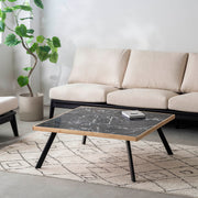 THE LOW TABLE / 大理石 黒白根 × ラバーウッド × Black Steel