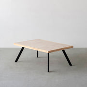THE LOW TABLE / 大理石 ココナッツベージュ × ラバーウッド × Black Steel