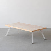 THE LOW TABLE / 大理石 ココナッツベージュ × ラバーウッド × White Steel