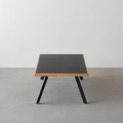 THE LOW TABLE / インド産 黒みかげ石 × ラバーウッド × Black Steel