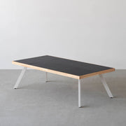 THE LOW TABLE / インド産 黒みかげ石 × ラバーウッド × White Steel