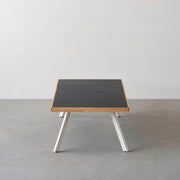 THE LOW TABLE / インド産 黒みかげ石 × ラバーウッド × White Steel