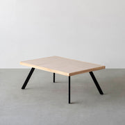 THE LOW TABLE / 砂岩 ブランコドマール × ラバーウッド × Black Steel