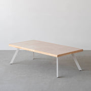 THE LOW TABLE / 砂岩 ブランコドマール × ラバーウッド × White Steel