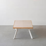 THE LOW TABLE / 砂岩 ブランコドマール × ラバーウッド × White Steel