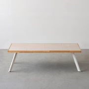 THE LOW TABLE / 砂岩 ブランコドマール × ラバーウッド × White Steel