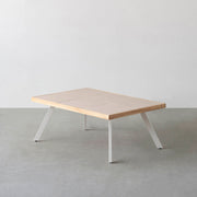 THE LOW TABLE / 砂岩 ブランコドマール × ラバーウッド × White Steel