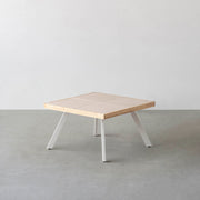 THE LOW TABLE / 砂岩 ブランコドマール × ラバーウッド × White Steel