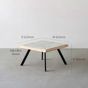 THE LOW TABLE / 大谷石 × ラバーウッド × Black Steel