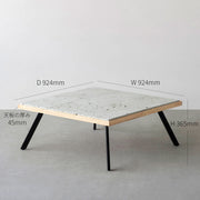 THE LOW TABLE / 大谷石 × ラバーウッド × Black Steel