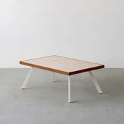 THE LOW TABLE / 大理石 ココナッツベージュ × ラバーウッド × White Steel