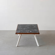 THE LOW TABLE / 大理石 黒白根 × ラバーウッド × White Steel