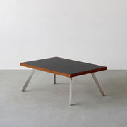 THE LOW TABLE / インド産 黒みかげ石 × ラバーウッド × Stainless
