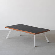THE LOW TABLE / インド産 黒みかげ石 × ラバーウッド × White Steel