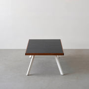 THE LOW TABLE / インド産 黒みかげ石 × ラバーウッド × White Steel