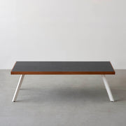 THE LOW TABLE / インド産 黒みかげ石 × ラバーウッド × White Steel
