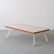 THE LOW TABLE / 砂岩 ブランコドマール × ラバーウッド × White Steel