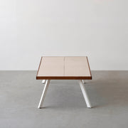 THE LOW TABLE / 砂岩 ブランコドマール × ラバーウッド × White Steel