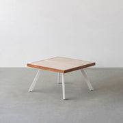 THE LOW TABLE / 砂岩 ブランコドマール × ラバーウッド × White Steel