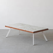 THE LOW TABLE / 大谷石 × ラバーウッド × White Steel