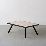 THE LOW TABLE / 大理石 ココナッツベージュ × ラバーウッド × Black Steel