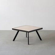 THE LOW TABLE / 大理石 ココナッツベージュ × ラバーウッド × Black Steel