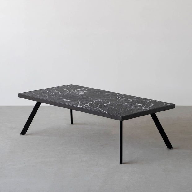 THE LOW TABLE / 大理石 黒白根 × ラバーウッド × Black Steel