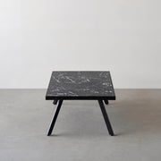 THE LOW TABLE / 大理石 黒白根 × ラバーウッド × Black Steel