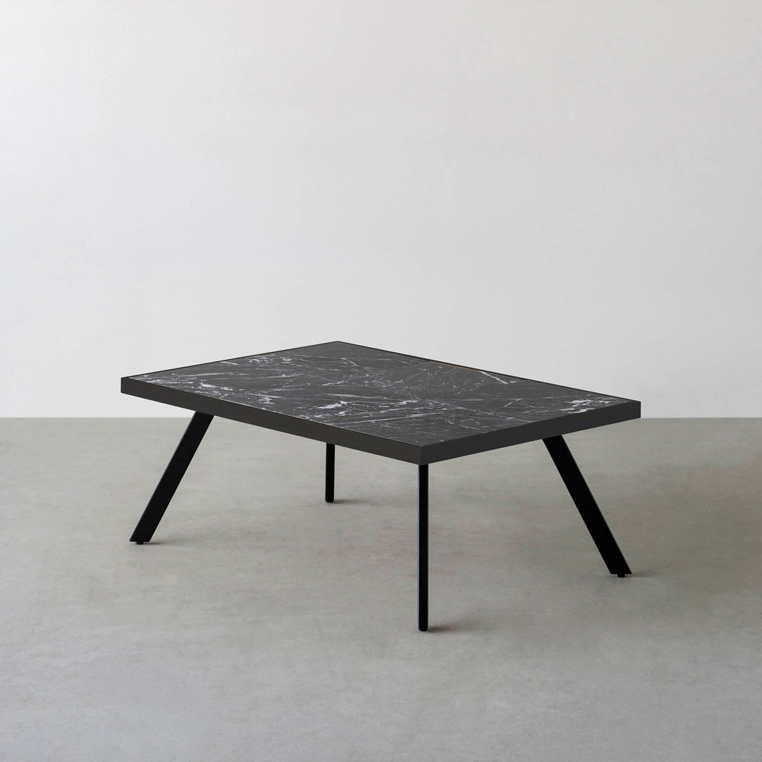 THE LOW TABLE / 大理石 黒白根 × ラバーウッド × Black Steel