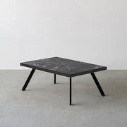 THE LOW TABLE / 大理石 黒白根 × ラバーウッド × Black Steel