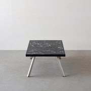 THE LOW TABLE / 大理石 黒白根 × ラバーウッド × Stainless
