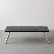 THE LOW TABLE / 大理石 黒白根 × ラバーウッド × Stainless