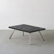 THE LOW TABLE / 大理石 黒白根 × ラバーウッド × Stainless
