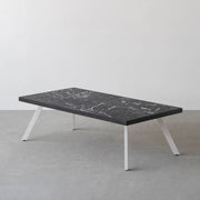 THE LOW TABLE / 大理石 黒白根 × ラバーウッド × White Steel
