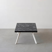 THE LOW TABLE / 大理石 黒白根 × ラバーウッド × White Steel