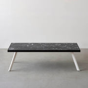 THE LOW TABLE / 大理石 黒白根 × ラバーウッド × White Steel