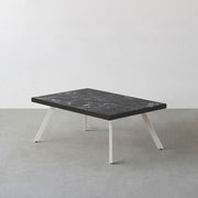 THE LOW TABLE / 大理石 黒白根 × ラバーウッド × White Steel