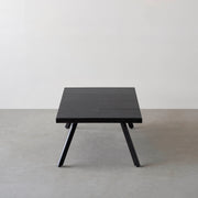 THE LOW TABLE / インド産 黒みかげ石 × ラバーウッド × Black Steel