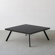 THE LOW TABLE / インド産 黒みかげ石 × ラバーウッド × Black Steel