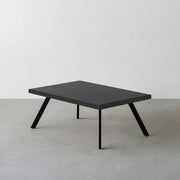 THE LOW TABLE / インド産 黒みかげ石 × ラバーウッド × Black Steel