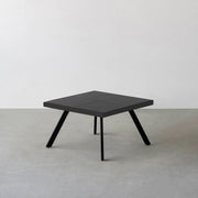 THE LOW TABLE / インド産 黒みかげ石 × ラバーウッド × Black Steel