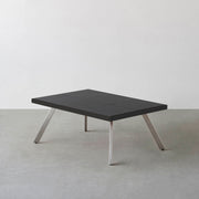 THE LOW TABLE / インド産 黒みかげ石 × ラバーウッド × Stainless