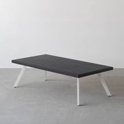 THE LOW TABLE / インド産 黒みかげ石 × ラバーウッド × White Steel