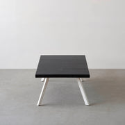 THE LOW TABLE / インド産 黒みかげ石 × ラバーウッド × White Steel