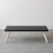 THE LOW TABLE / インド産 黒みかげ石 × ラバーウッド × White Steel