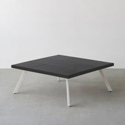 THE LOW TABLE / インド産 黒みかげ石 × ラバーウッド × White Steel