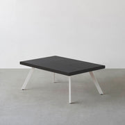THE LOW TABLE / インド産 黒みかげ石 × ラバーウッド × White Steel