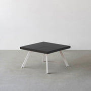 THE LOW TABLE / インド産 黒みかげ石 × ラバーウッド × White Steel