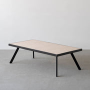 THE LOW TABLE / 砂岩 ブランコドマール × ラバーウッド × Black Steel