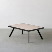 THE LOW TABLE / 砂岩 ブランコドマール × ラバーウッド × Black Steel